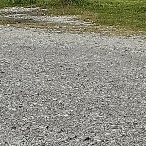 Meet your Posher, Felisha